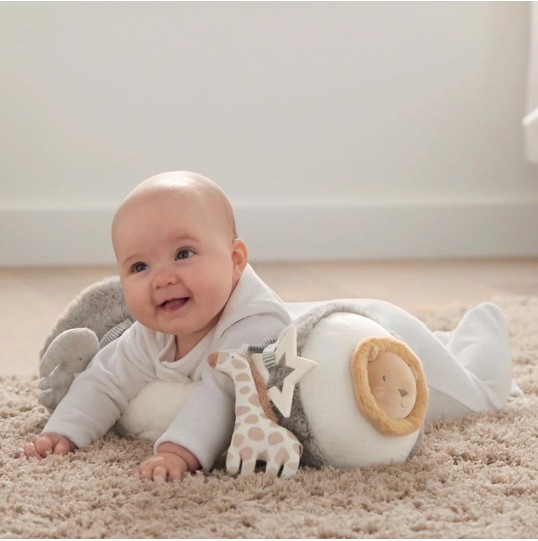 TUMMY TIME WTTW GREY